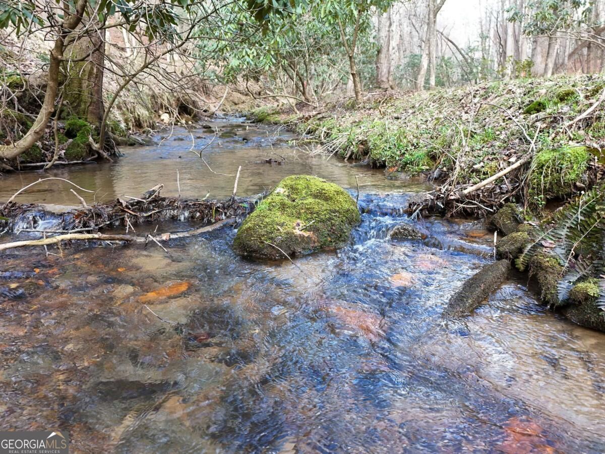 Property Photo: Lot 44A Synacia Drive GA 30559