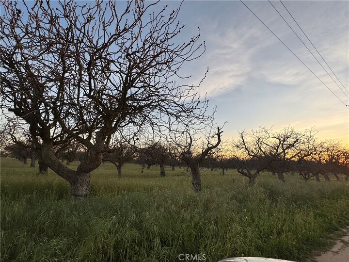 Property Photo:  0 Road 30  CA 93638 