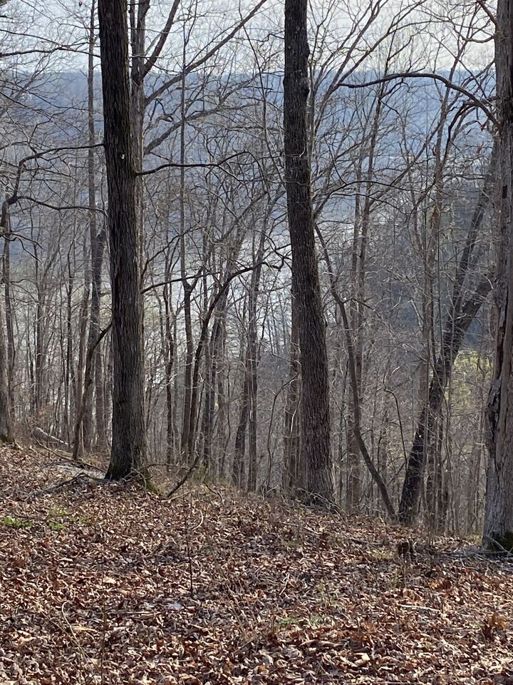 Property Photo:  0 Harbor Green Pl  TN 38583 