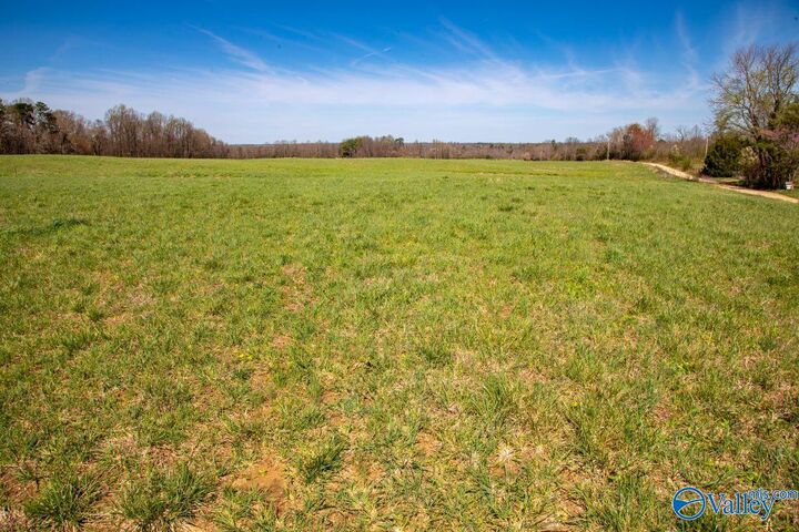 Property Photo: 85 Acres Woodland Drive AL 35981