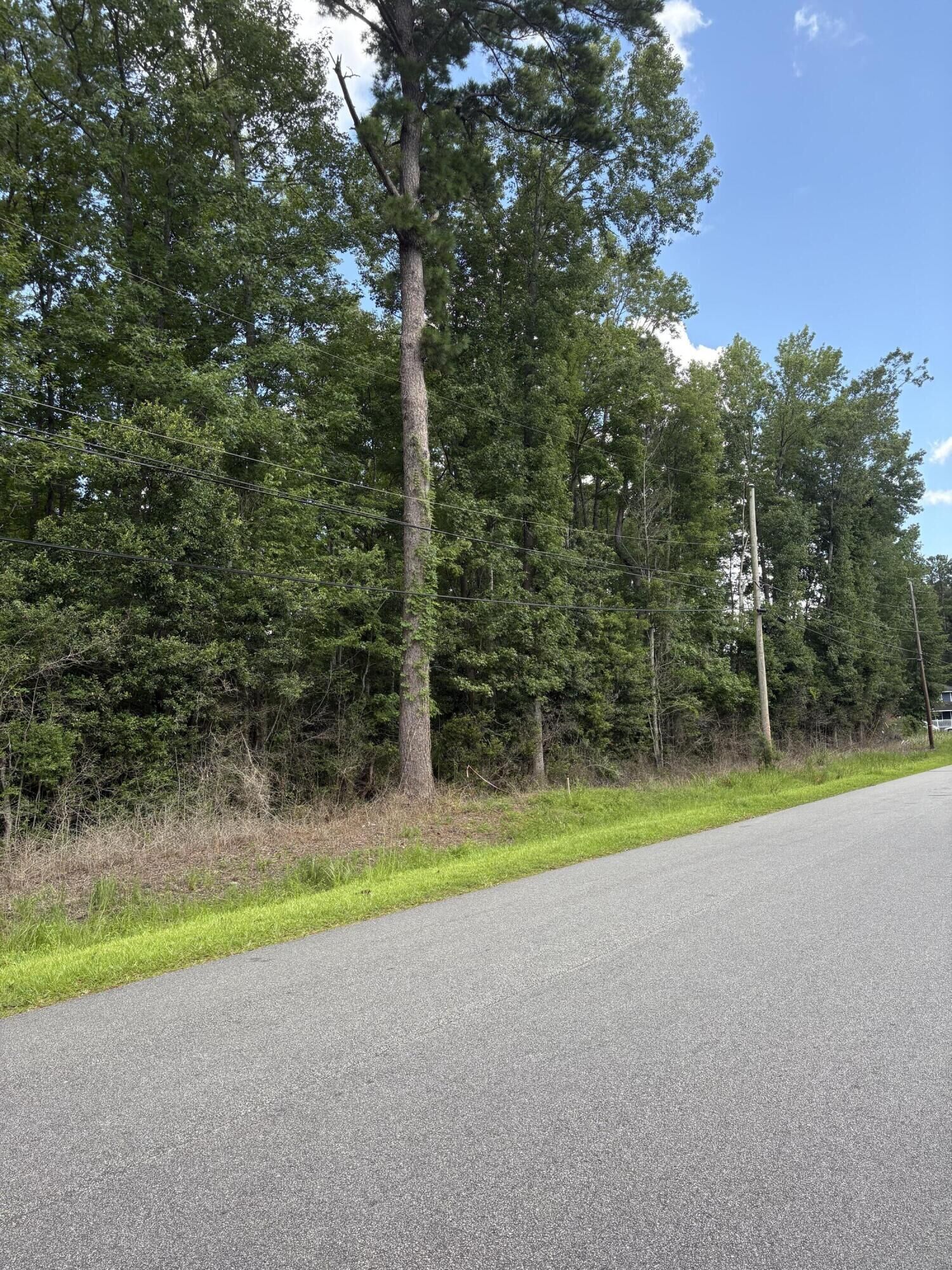 Property Photo: 0 University Drive Lot 189 SC 29418