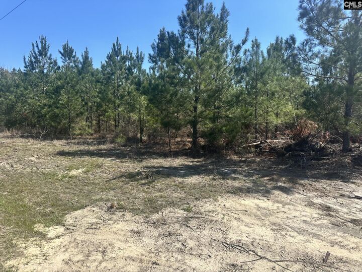 Property Photo:  0 Catalina  SC 29160 