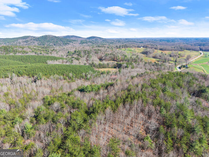 Property Photo:  0 Elliott Family Parkway  GA 30534 