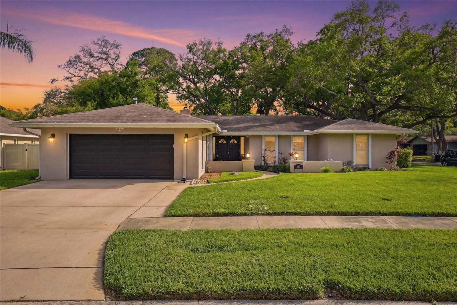 Property Photo: 2207 Willowbrook Dr FL 33764