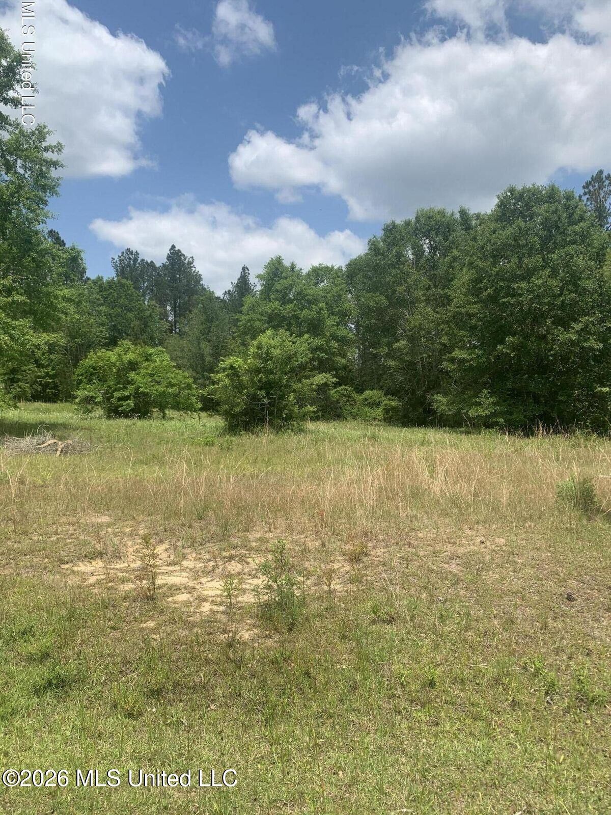 Property Photo:  Jeremy Lane  MS 39565 