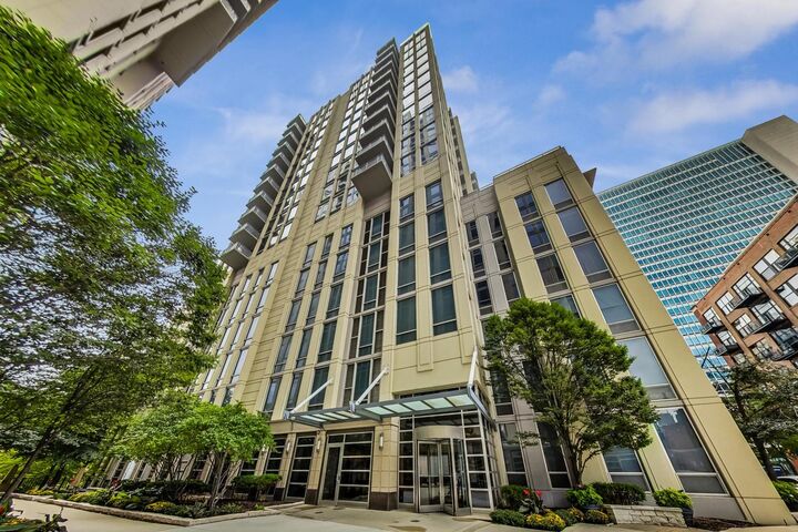 Property Photo:  720 N Larrabee Street 1108  IL 60654 