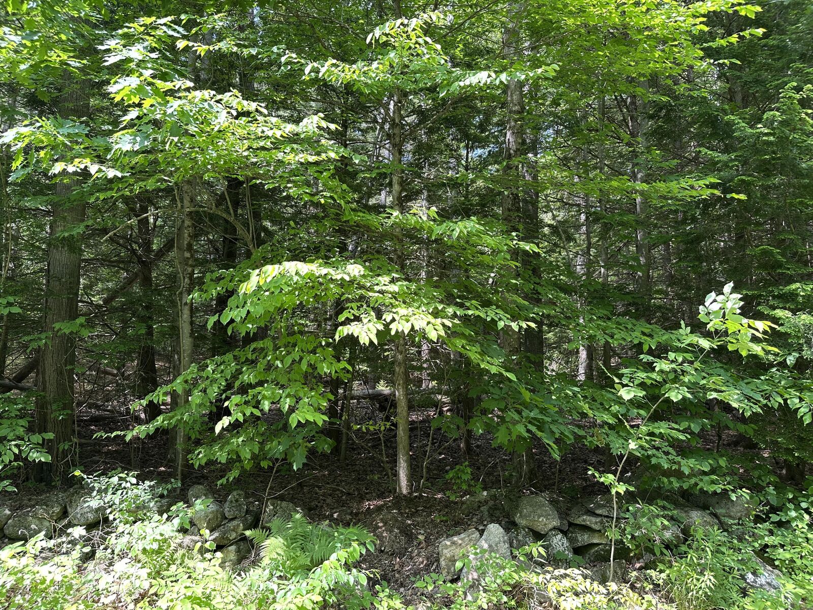 Property Photo:  0 Dingley Road  ME 04008 