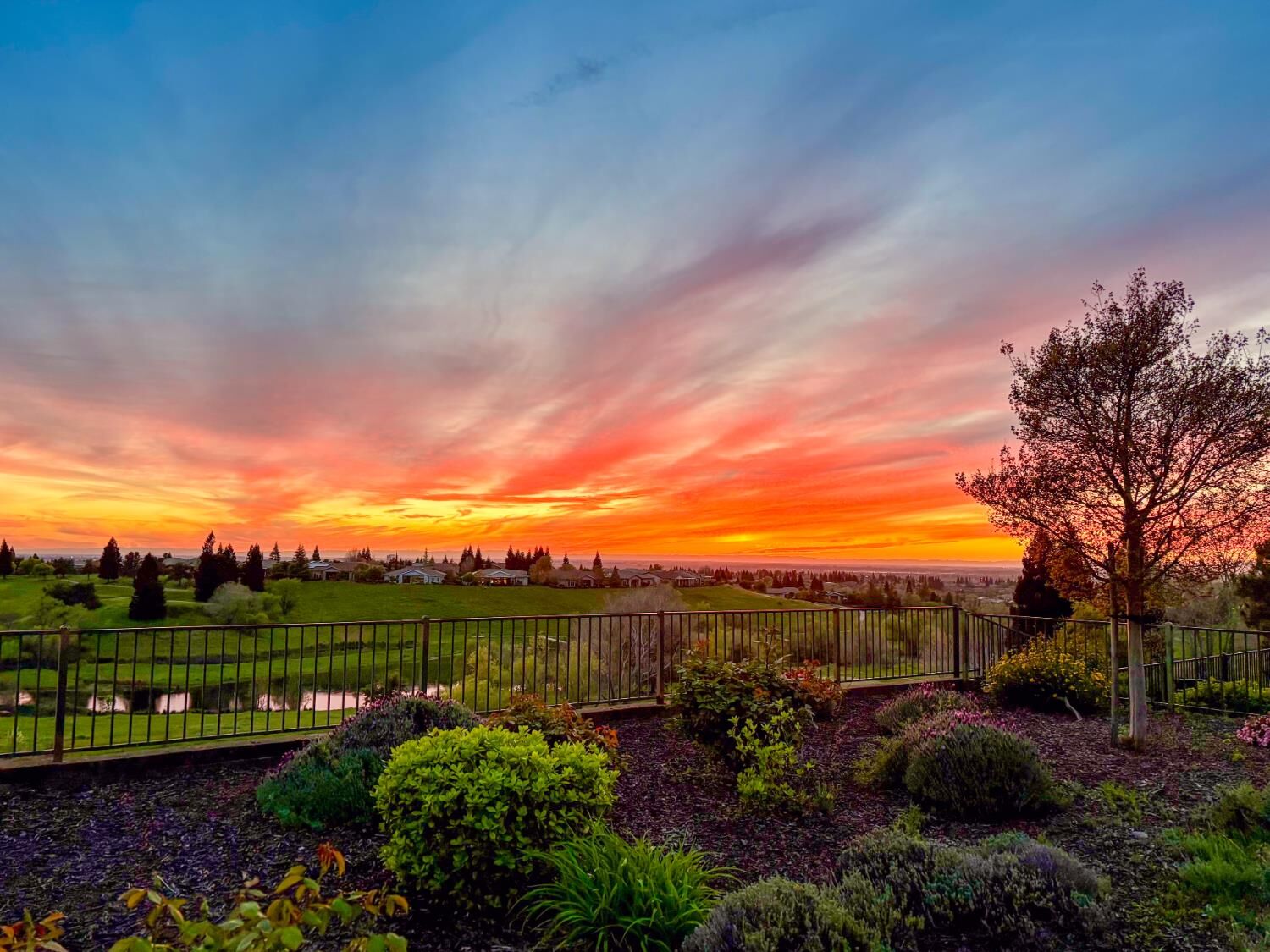 Property Photo:  2507 Walden View Lane  CA 95648 