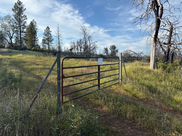 Property Photo: 0 Troost Trail CA 95960