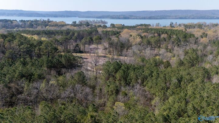 Property Photo:  20.6 Acres Murphy Hill Road  AL 35755 