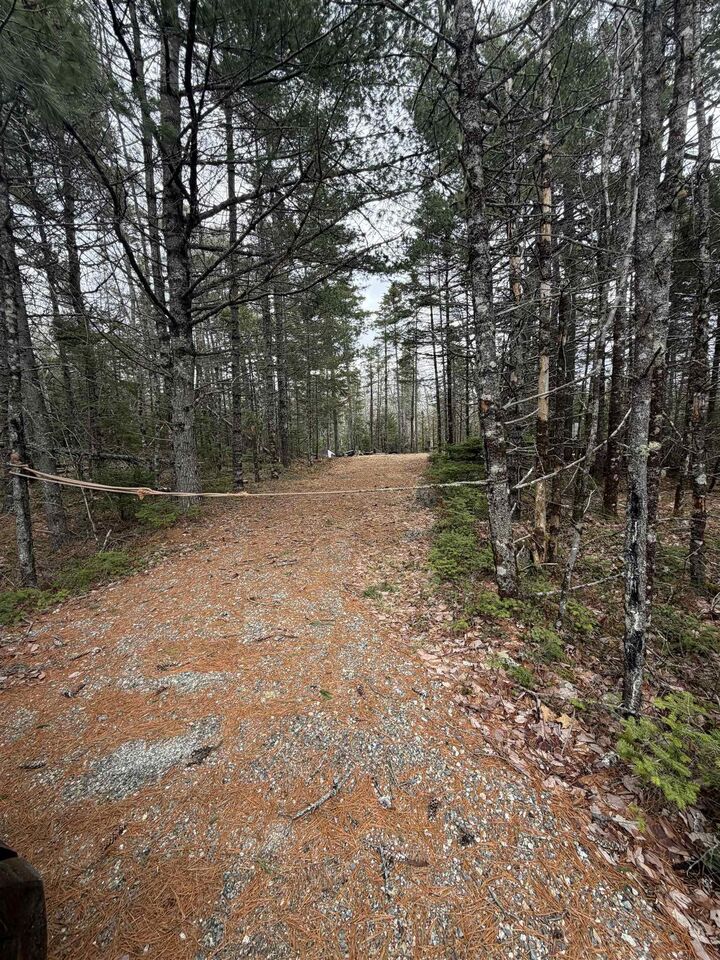 Property Photo:  Lot 5 Upper Clyde Road  NS B0T 1W0 