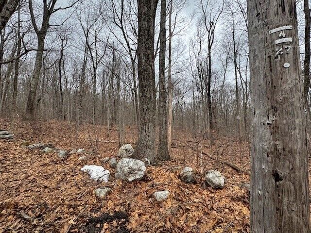 Property Photo: Lot 5 Gould Road MA 01507