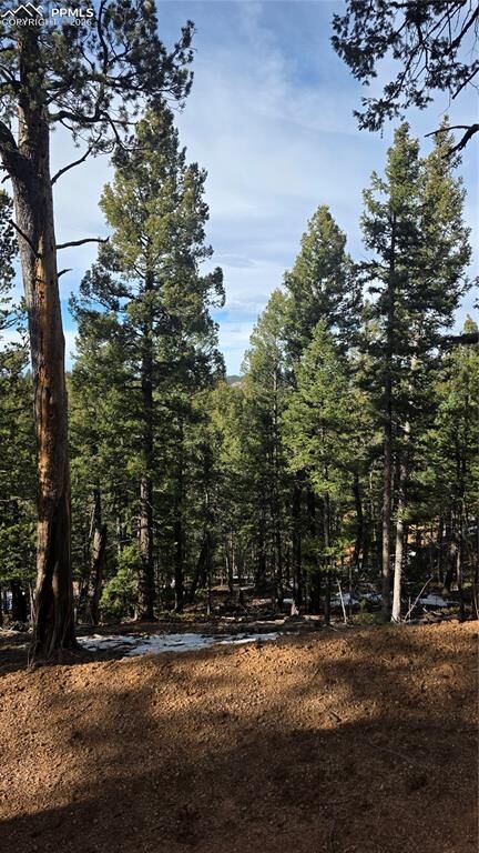 Property Photo:  321 Tillicum Trail  CO 80863 