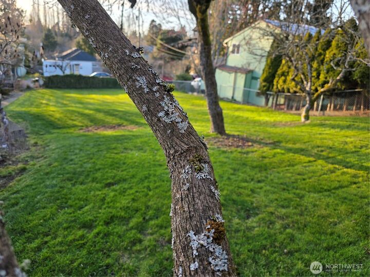 Property Photo:  1321  23rd Street  WA 98225 