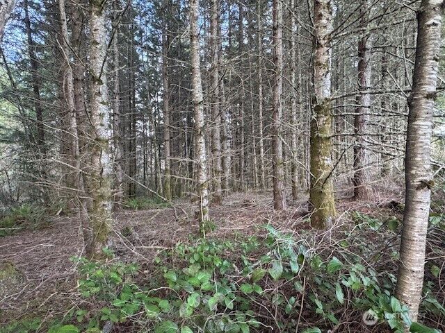 Property Photo: 3 Lot Brown Road WA 98532