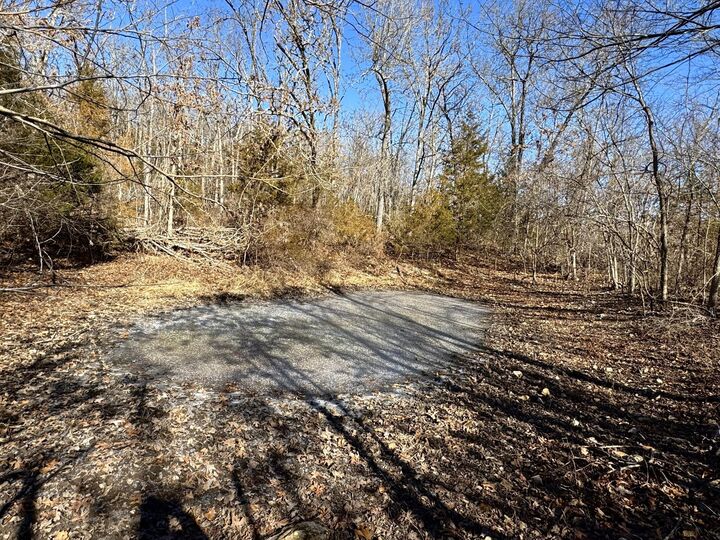 Property Photo:  000 Hart Road  MO 65702 