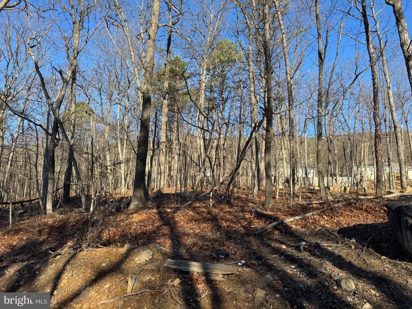 Property Photo:  Lot 6 Quail Drive  VA 22602 