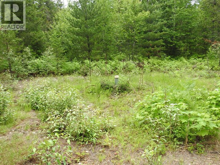Property Photo:  9700 Hwy 6 Other  BC V0G 1J0 