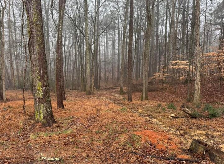 Property Photo:  138 Oak Beach Drive SE  GA 30101 