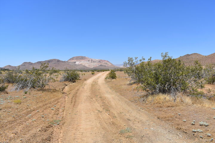 Property Photo:  201 E Laguna Ave  CA 93501 