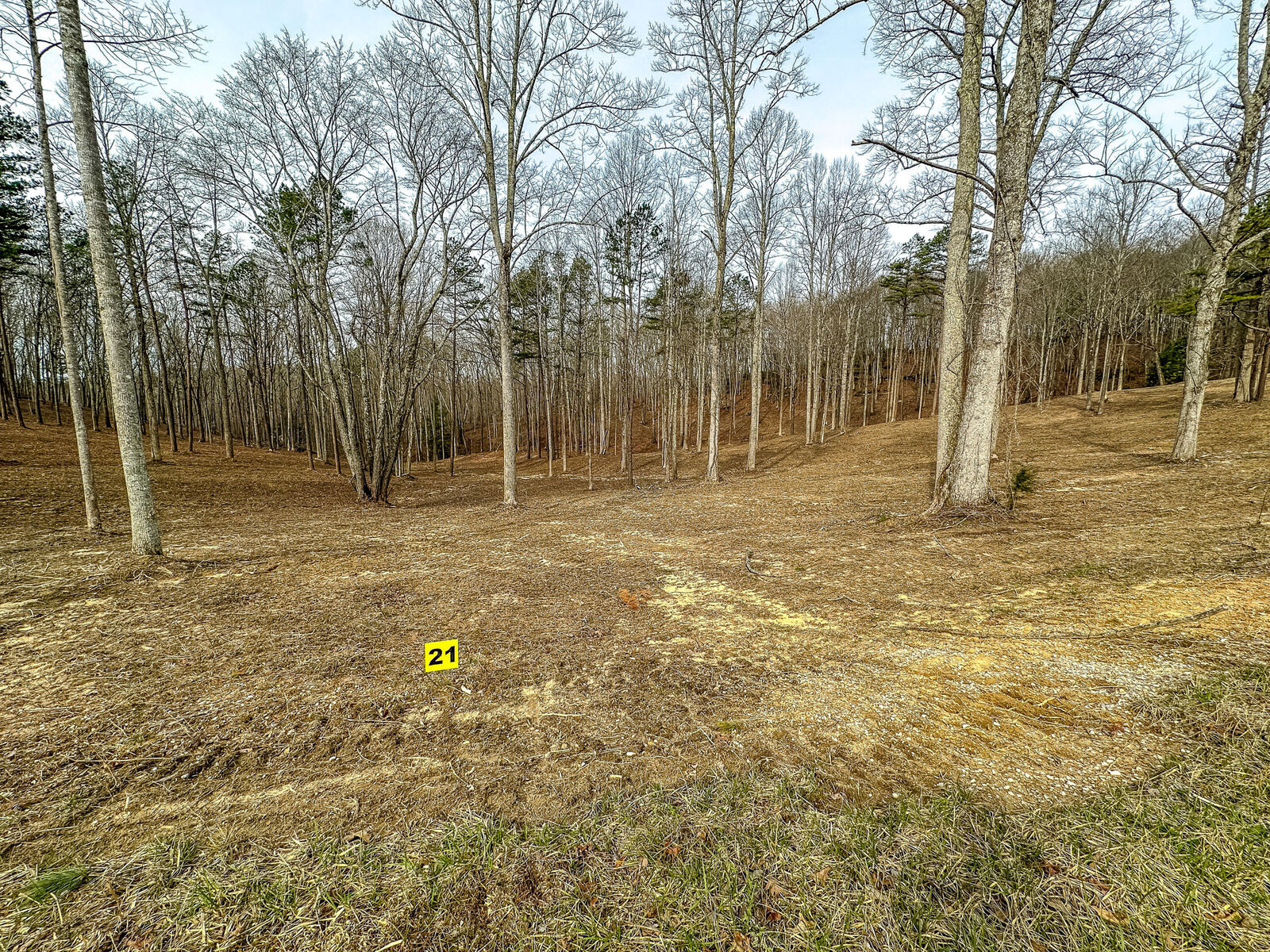 Property Photo: 3982 Hazel Patch Road KY 40729