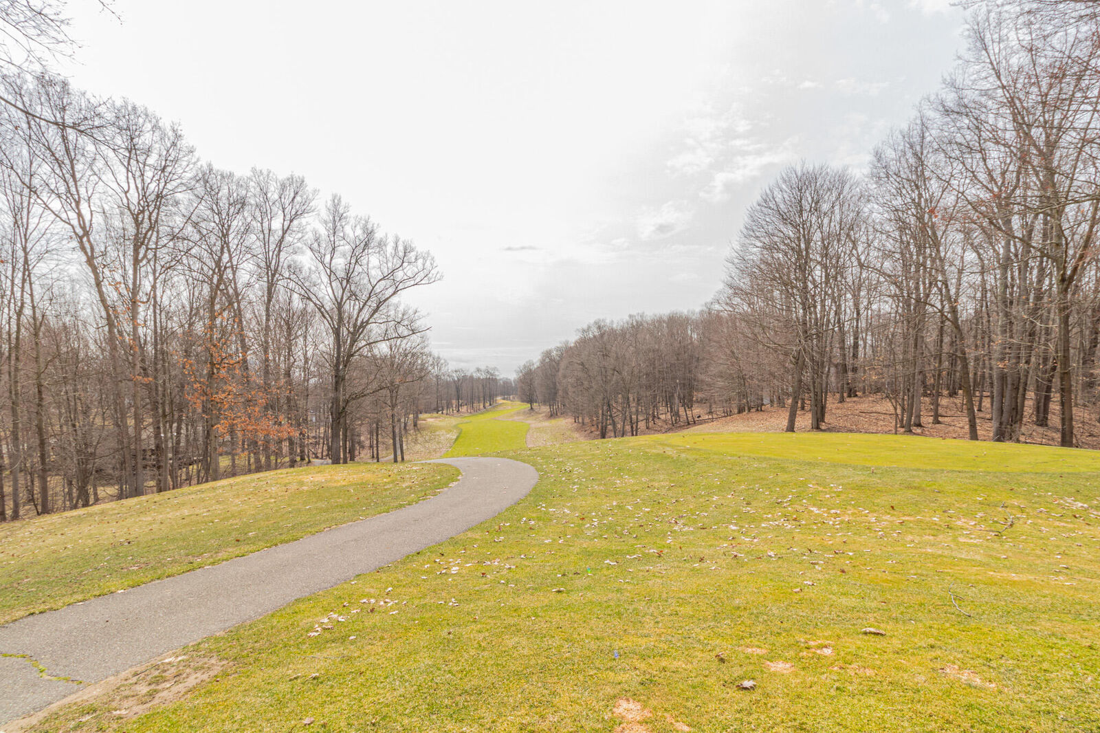 Property Photo:  9656 S Calgary Drive  MI 49346 