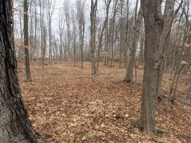 Property Photo:  2119 W 116th Street  MI 49327 