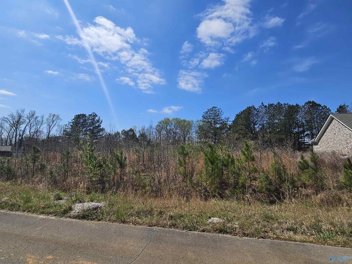 Property Photo: Lot 37 Southern Pine Drive AL 35773