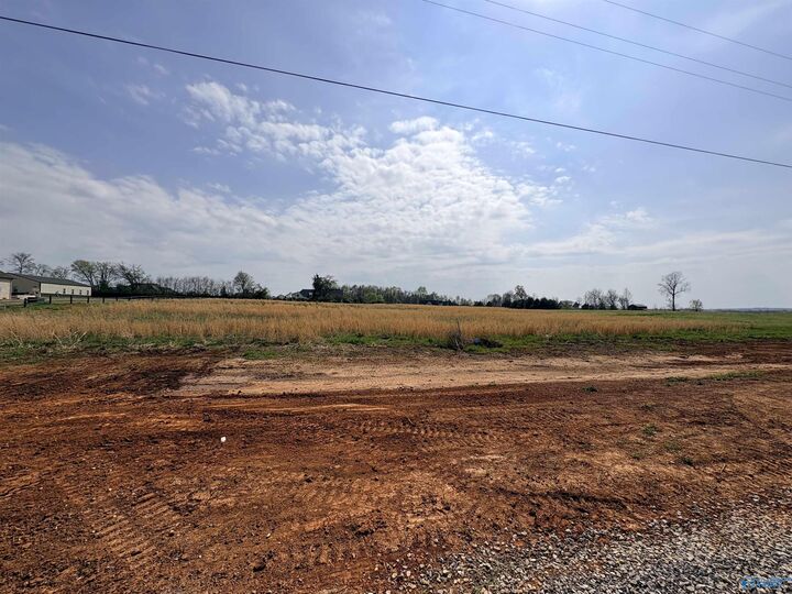 Property Photo:  23678 Old Homeplace Way  AL 35613 