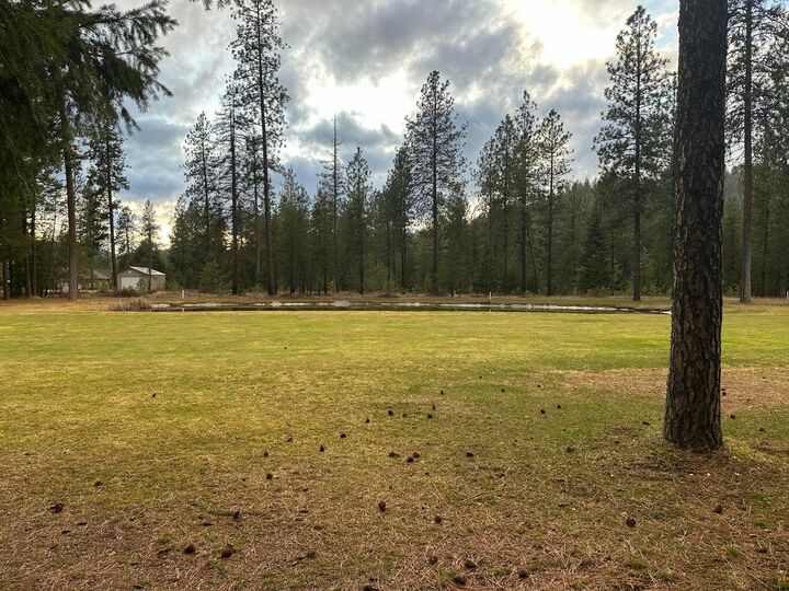 Property Photo:  Lot 27 Palmer Ln  WA 99109 
