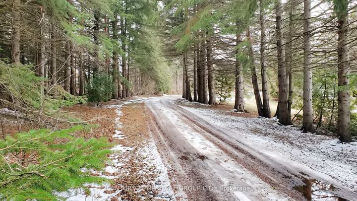 Photo de la propriété:  21455 Warden Avenue  ON L0G 1R0 