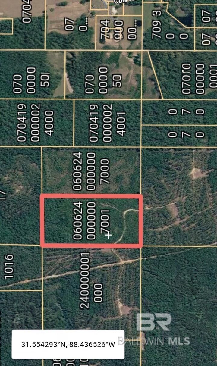 Property Photo:  0 Cow Hill Road  AL 36558 