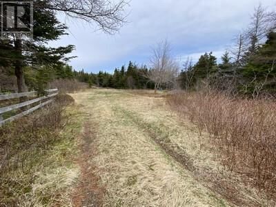 Property Photo:  173A Highway East  NL A0A 4G0 