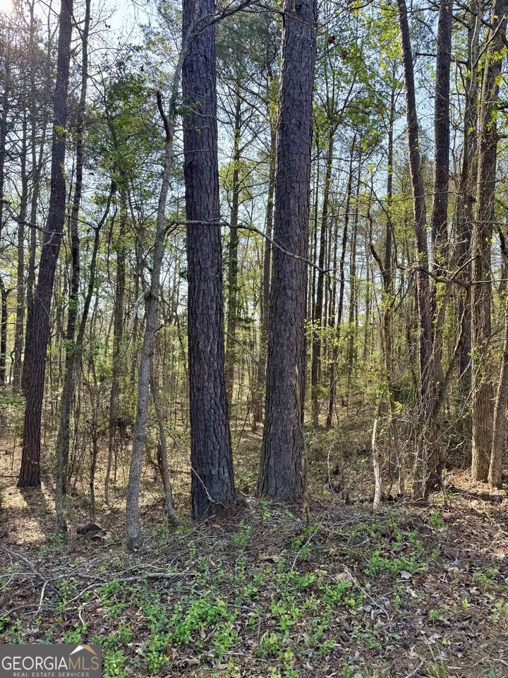 Property Photo:  0 Leisure Circle  GA 31822 