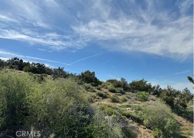 Property Photo: 0 Snow Valley Rd. CA 92372