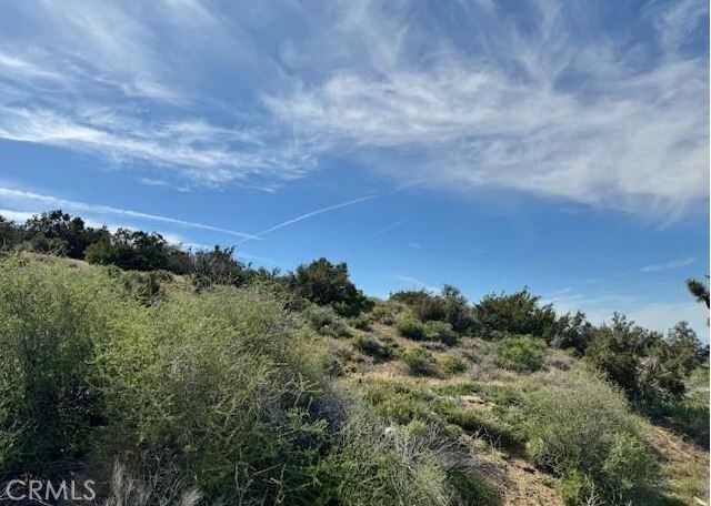 Property Photo: 0 Snow Valley Rd. CA 92372