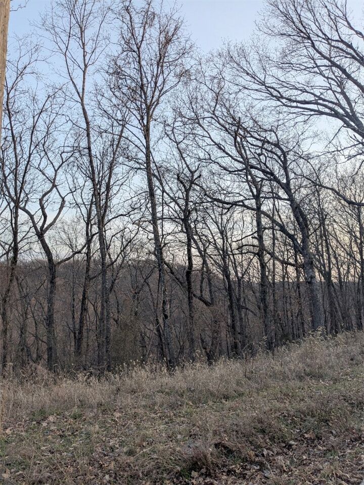 Property Photo:  Tbd Pyramid Lane  AR 72631 