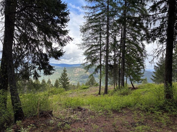 Lot 2 Hulme Creek Road — photo 1