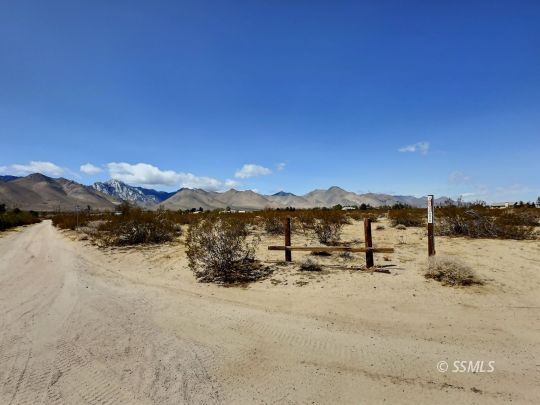 Property Photo: Greasewood Ave CA 93527