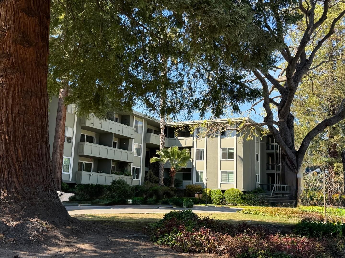 Property Photo: 1458 Hudson Street 217 CA 94061