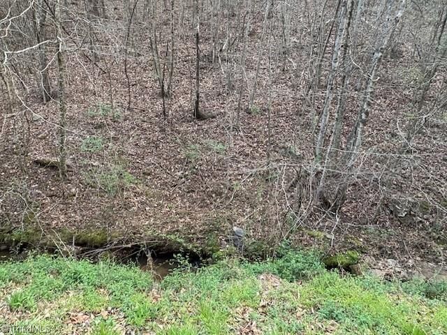 Property Photo:  Tbd N Marley Ford Road  NC 28624 