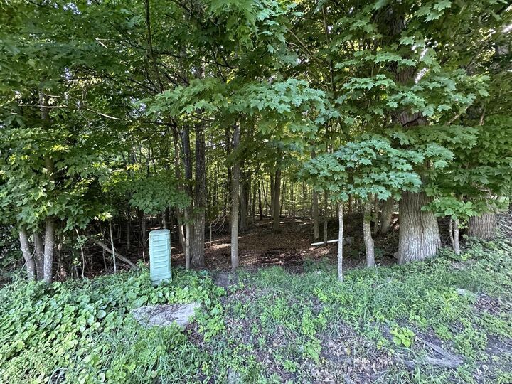 Property Photo:  0 Trembleau Road  NY 12944 