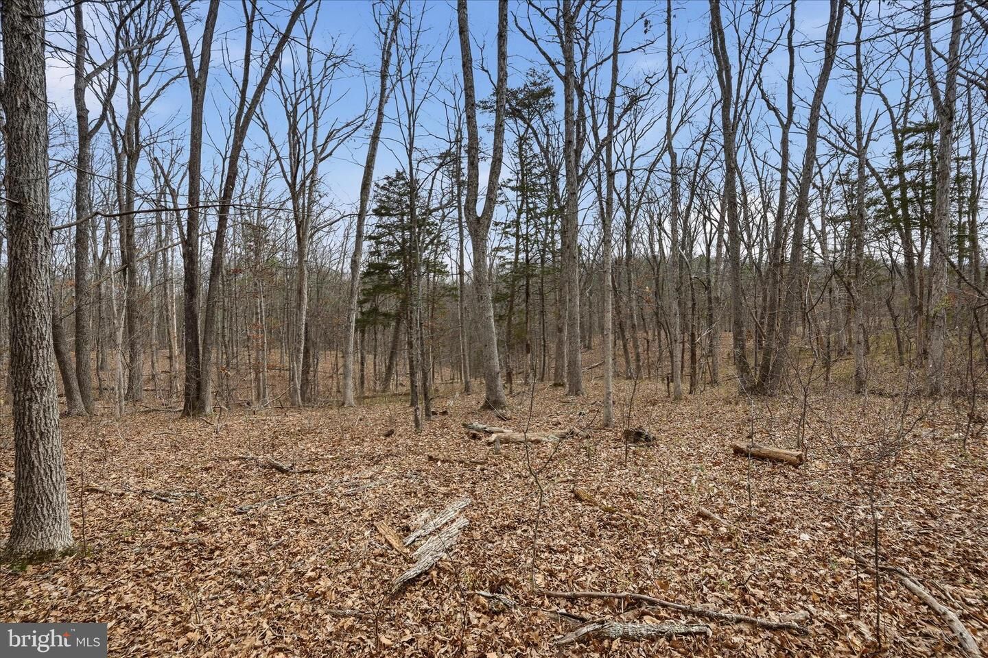 Property Photo:  Lot 3 Arapaho Lane  VA 22655 