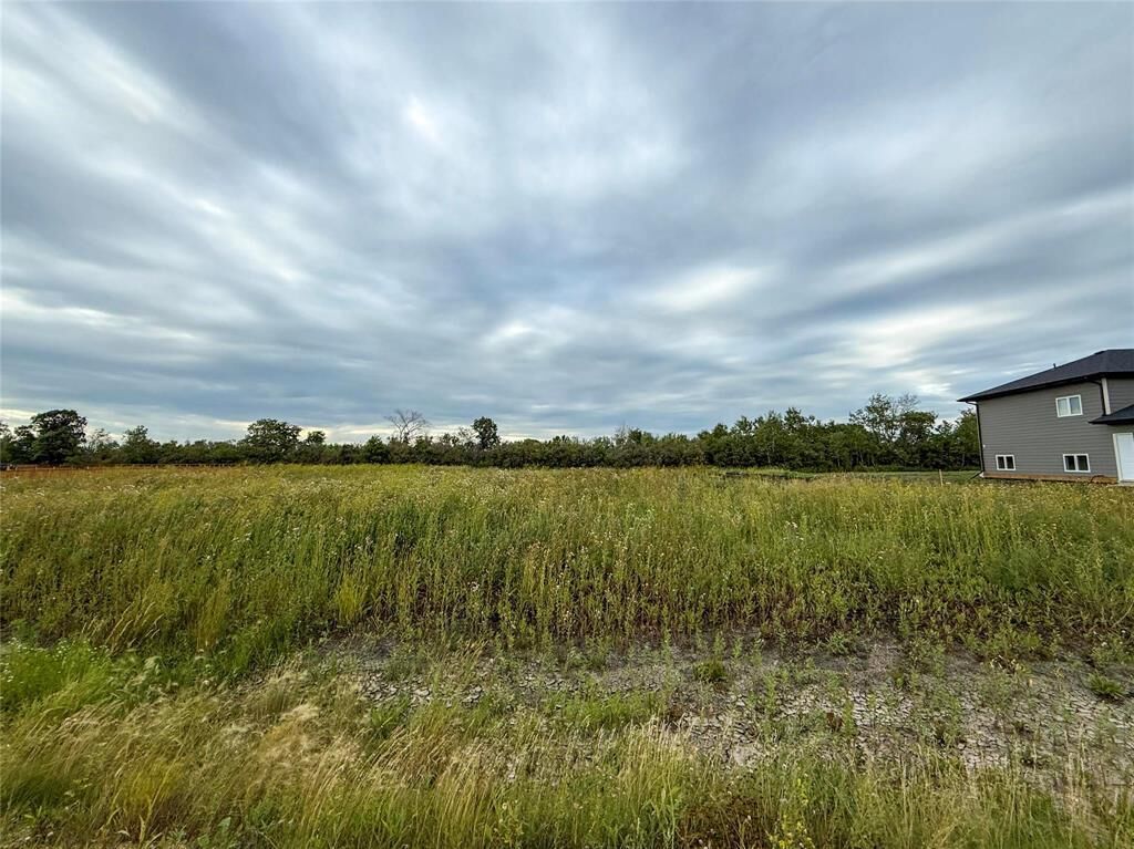 Property Photo:  81 Harry Waytiuk Drive  MB R0C 0M0 