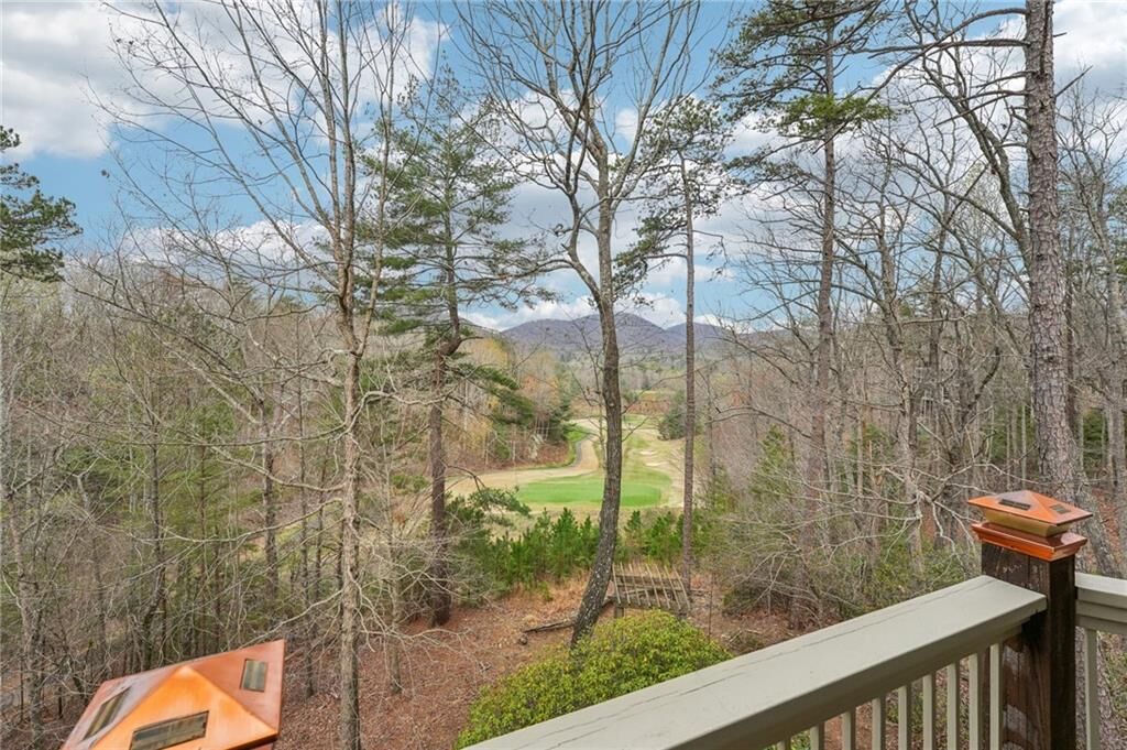 Property Photo: 44 Kilmartin Point GA 30143