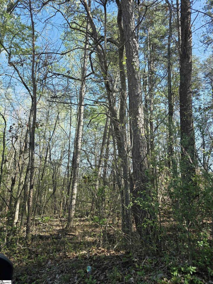 Property Photo:  102 Pine Drive  SC 29687 