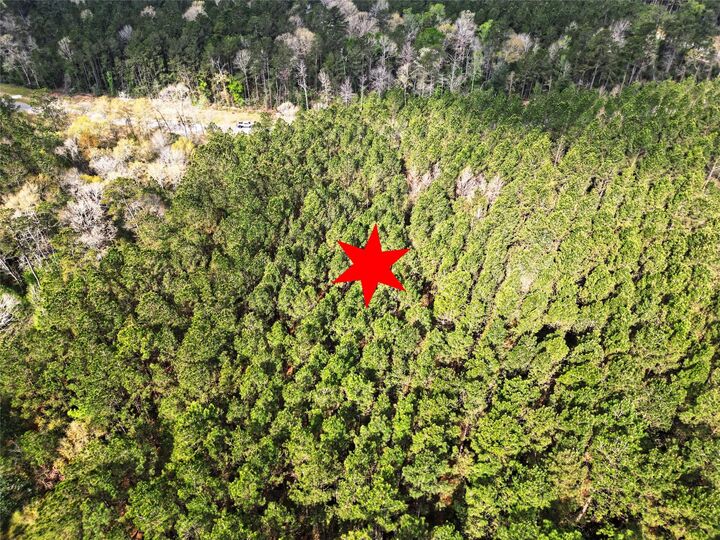 Property Photo:  15871 Ridge Oak Road  TX 77378 