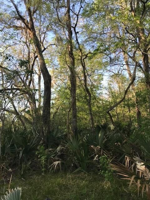 Property Photo:  0 E Live Oak Road  TX 77482 