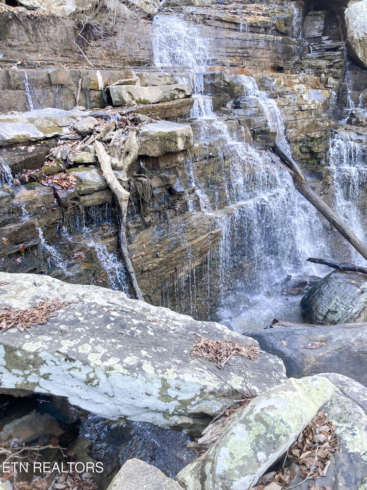 Property Photo:  Old Spencer Road - 100 Acres  TN 37367 