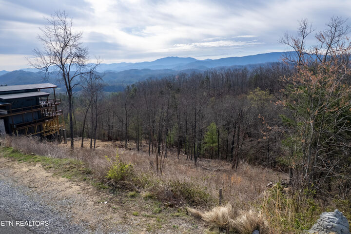 Property Photo:  Lot 102 Laurel Cove Tr  TN 37862 
